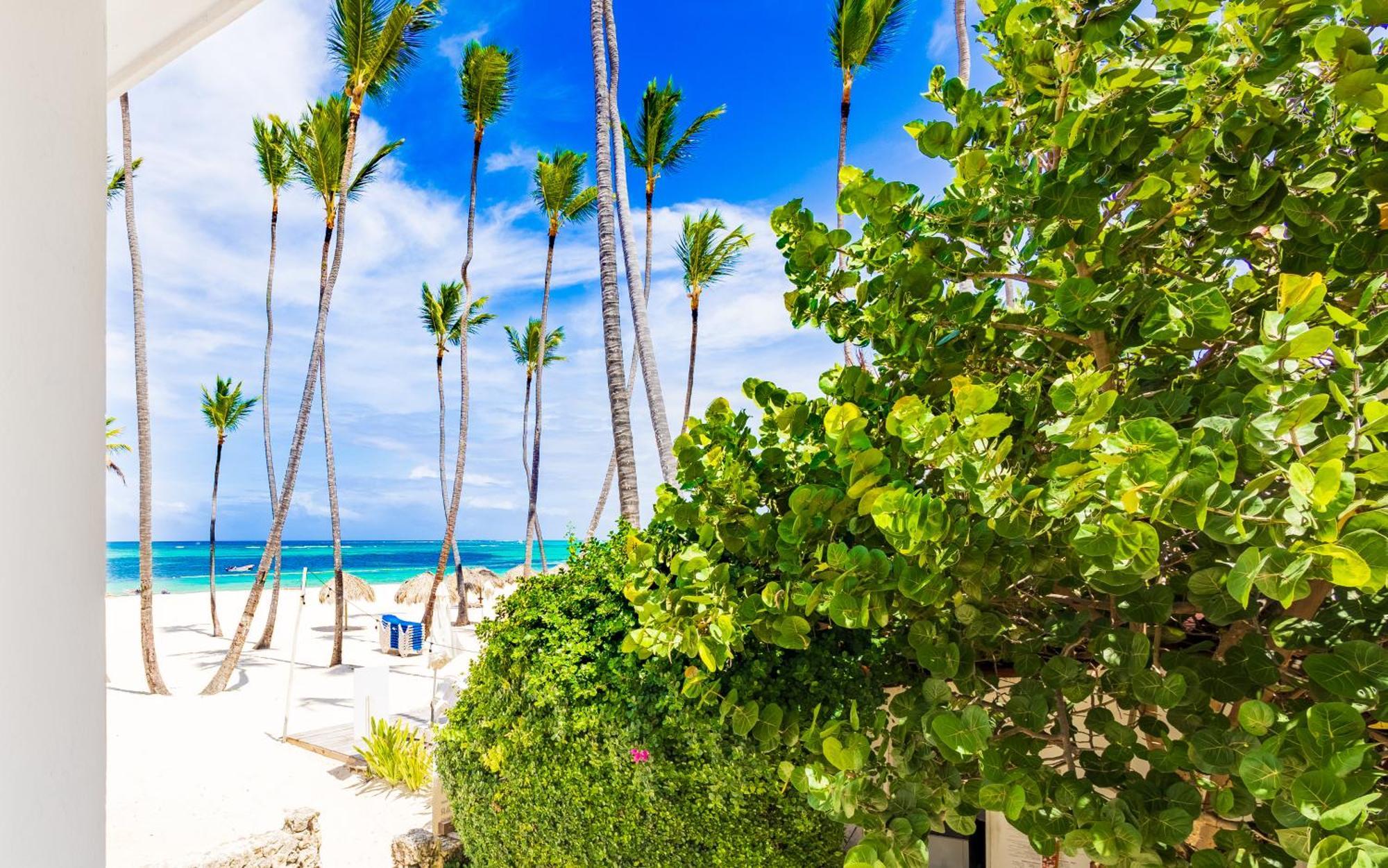 Prime Ocean View Punta Cana Apartments - 3-Bedroom Getaway With Private Terrace On Bavaro Beach Exteriér fotografie