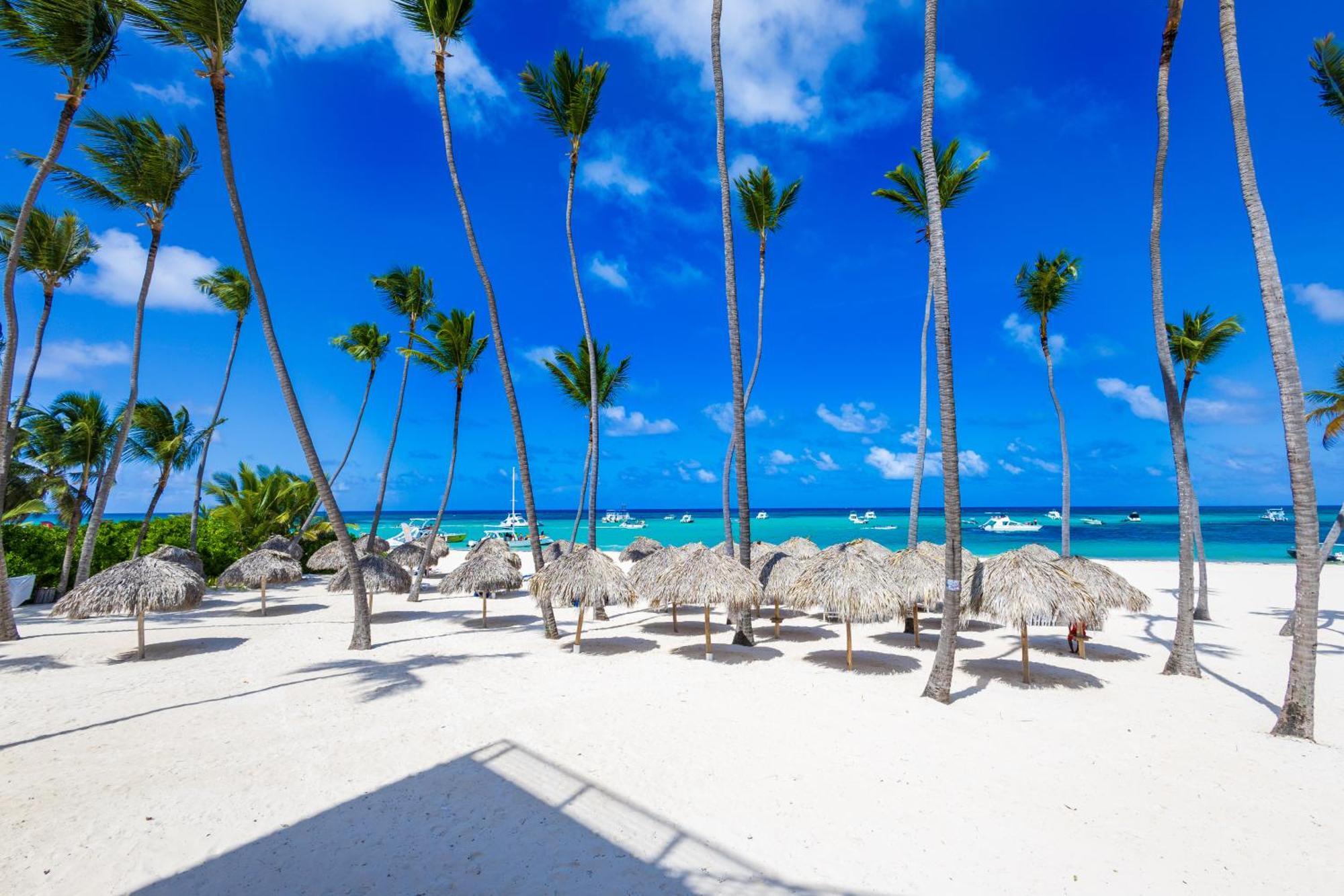 Prime Ocean View Punta Cana Apartments - 3-Bedroom Getaway With Private Terrace On Bavaro Beach Exteriér fotografie