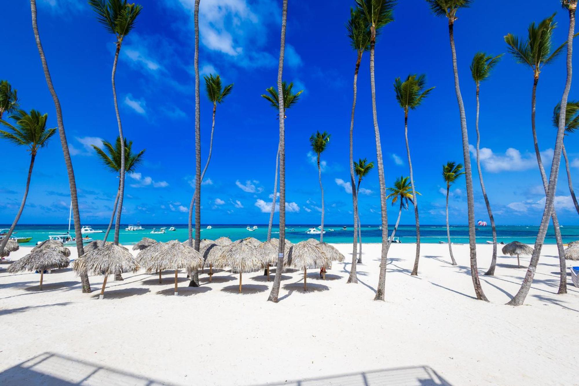 Prime Ocean View Punta Cana Apartments - 3-Bedroom Getaway With Private Terrace On Bavaro Beach Exteriér fotografie